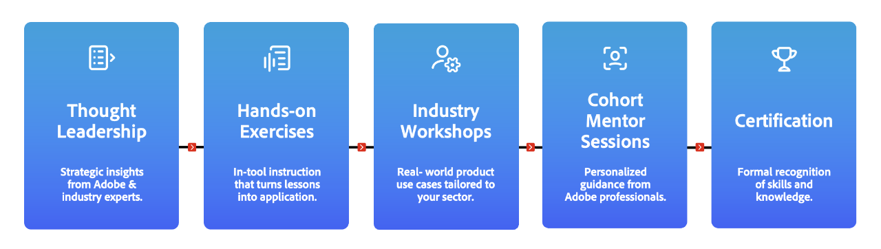 Flow of the cohort learning journey.